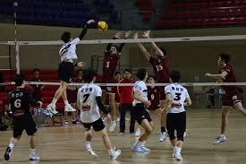 来自塞尔维亚人的马术表演，当中国国旗飘扬的那一刻全场沸腾